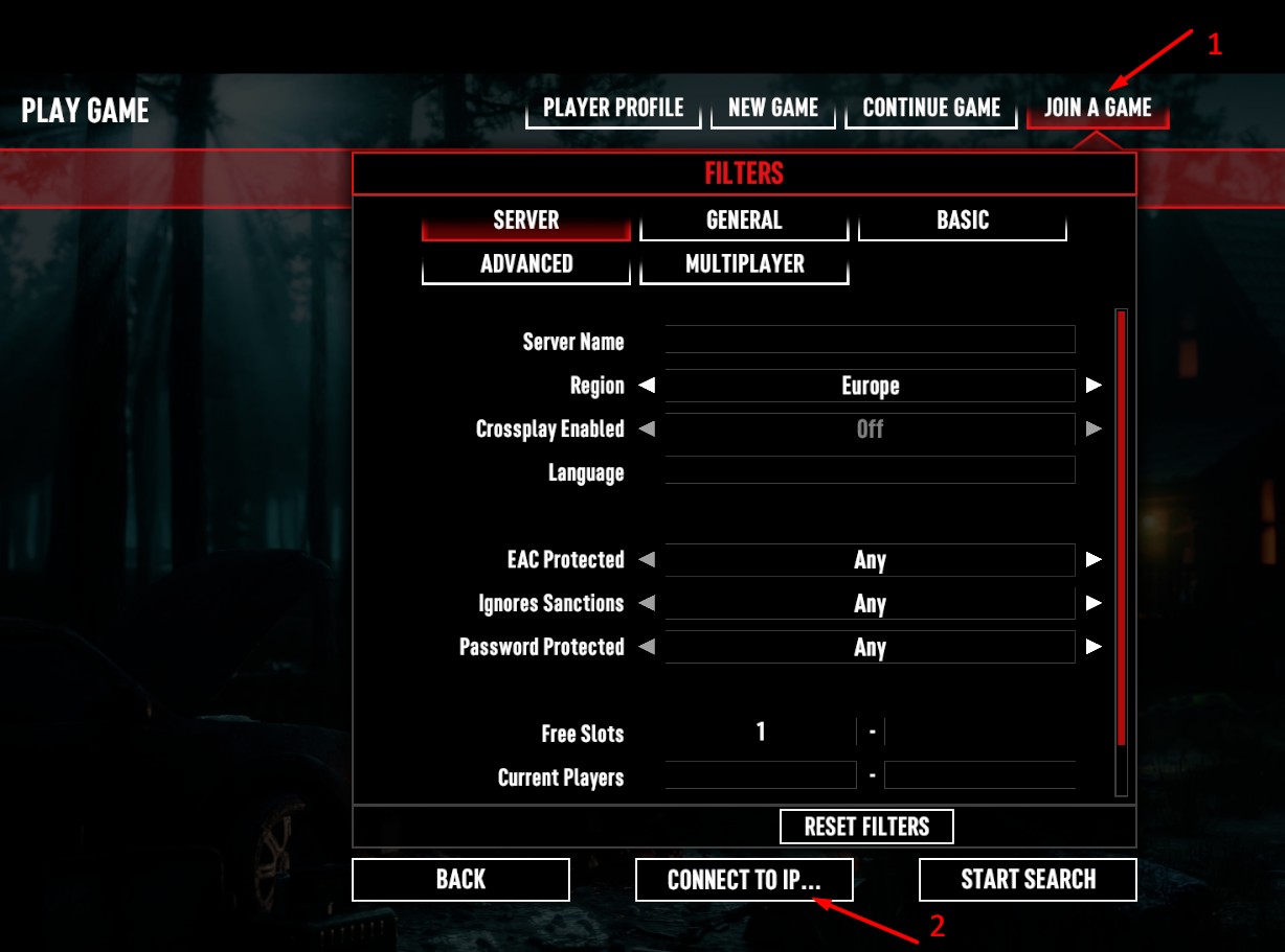 Join a Game tab with Connect to IP button highlighted