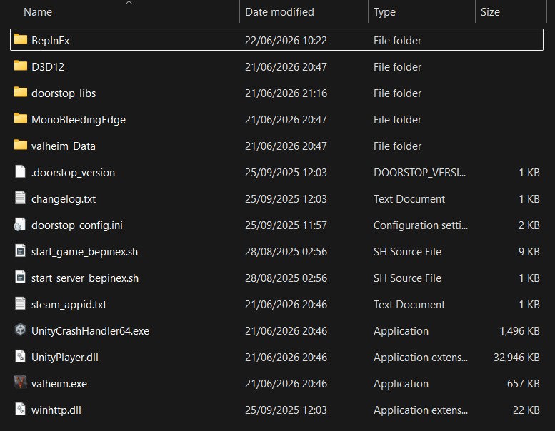 Valheim game folder after installing mods